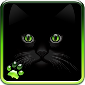 Cat Eyes icon