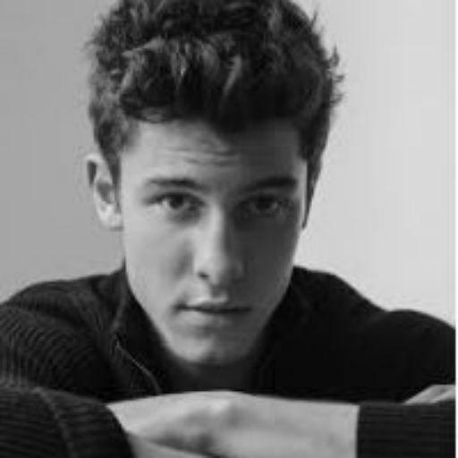 Shawn Mendes Songs icon