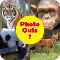 Tier Quiz: Erraten Sie das Pic Quiz Spiel