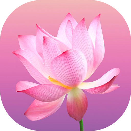 Flower Wallpapers and Backgrounds icon