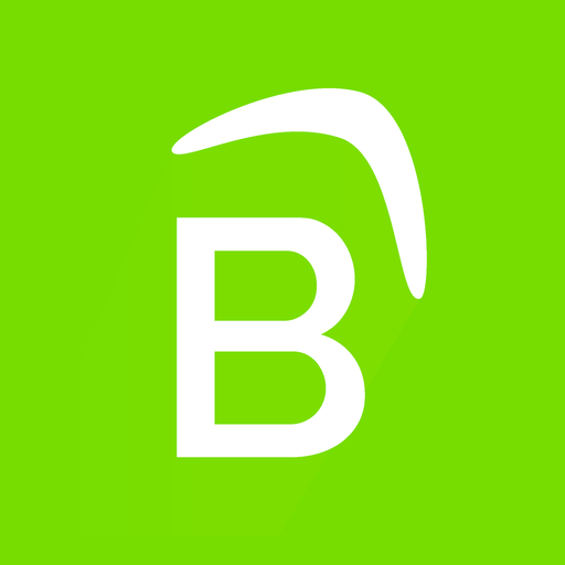 Boomerang Services أيقونة