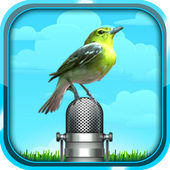 Bird Sound and Picture icon