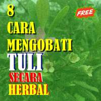 8 Cara Mengobati Tuli cara Alami Teruji Khasiatnya on 9Apps