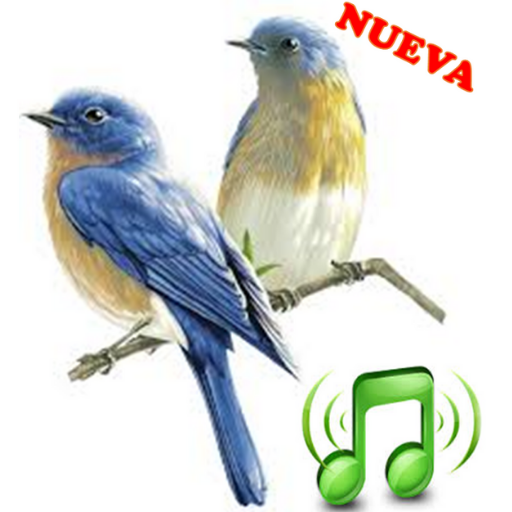 Tonos y Sonidos de Pájaros, Canto de Aves Gratis. icon