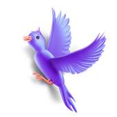 General Knowledge.Pro (world) on 9Apps