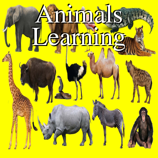 Animals Learning: Animals, Birds, Insects Images icon