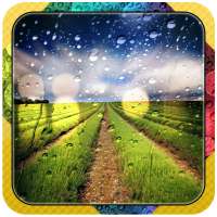 3D Rainfall Jigsaw Puzzles