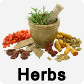 Herbs icon