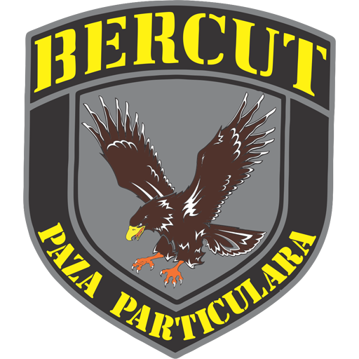 Bercut Alarm icon