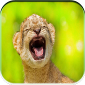 ANIMAL SOUNDS icon