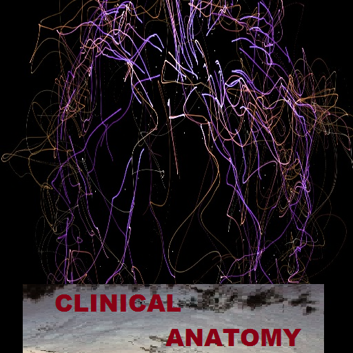 Clinical Anatomy free icon
