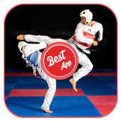 Taekwondo training icon
