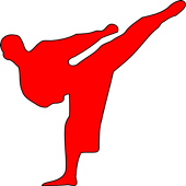 Taekwondo Training For Beginners icon