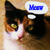 Animal Sounds أصوات الحيوانات icon