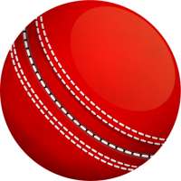 Live Cricket Score & News Update
