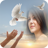 Birds Photo Frames icon