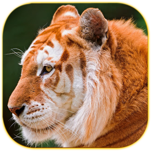 HD Animals Wallpapers icon