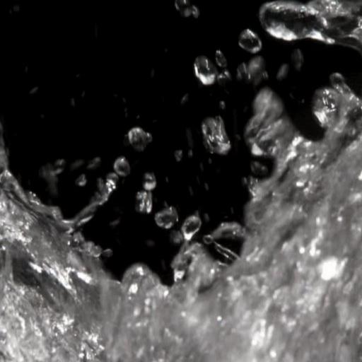 Living water live wallpaper icon