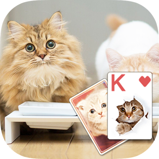 Solitaire Lovely Cats Theme icon