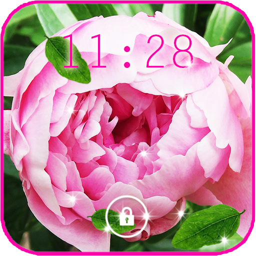 Peony Wallpaper icon