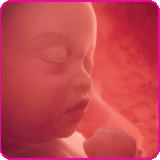 Pregnancy Friend App icon