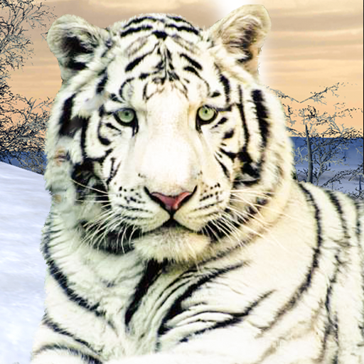 Wild White Tiger: Jungle Hunt icon