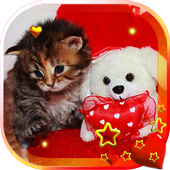 Valentine Kitty live wallpaper icon
