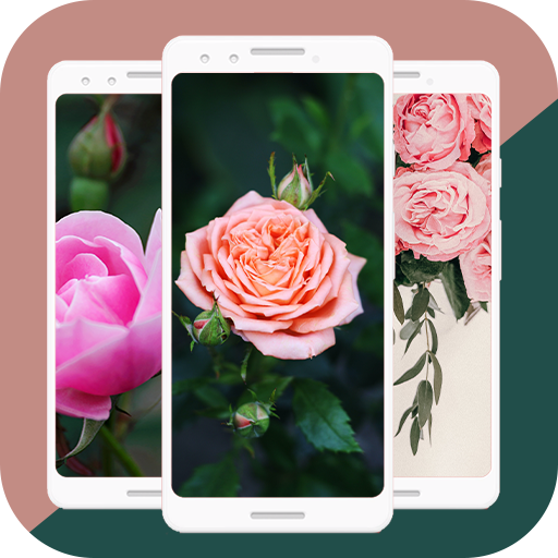 HD Pink Roses Live Wallpaper icon