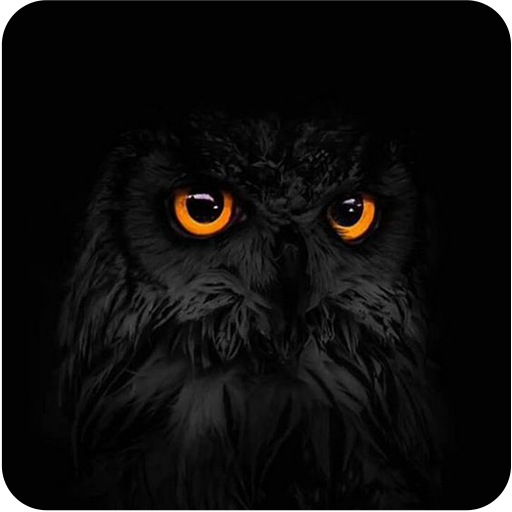 Black Wallpaper иконка