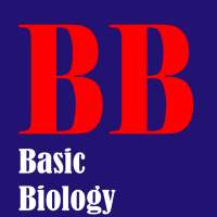 Basic Biology on 9Apps