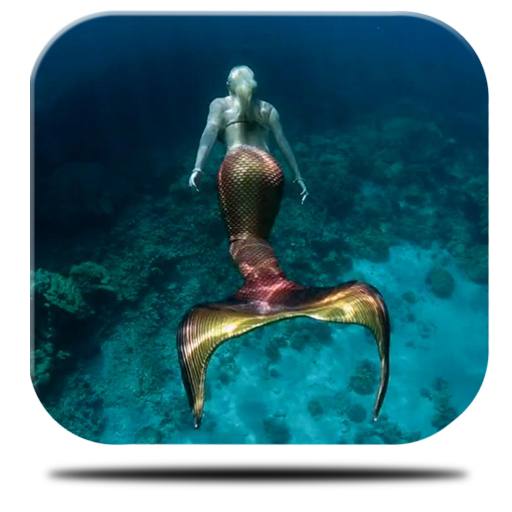 Mermaid Maritime Live icon