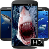 Shark Wallpaper 4K icon