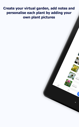 Right Plants 13 تصوير الشاشة