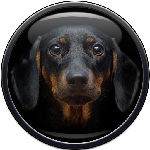 Dog Wallpaper icon