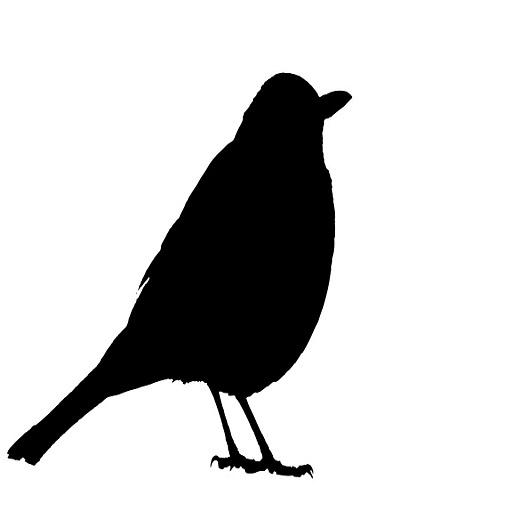 Blackbird Song Sound icon