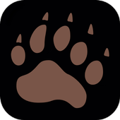 Survive or die : the forest icon