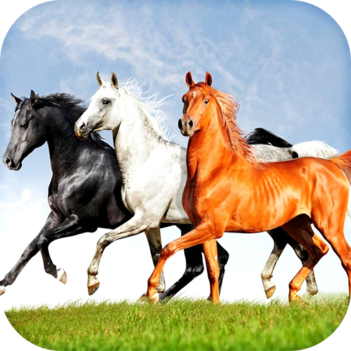 Horses Live Wallpaper HD icon