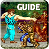 New Guide For Final Fight icon