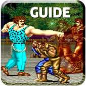 New Guide For Final Fight