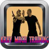 Krav Maga Systema Training