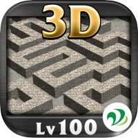 3D Maze Level 100