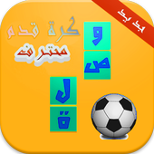 وصلة كرة قدم محترف أيقونة