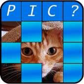 Guess The Animal – Pics Quiz - Learn All Mammals