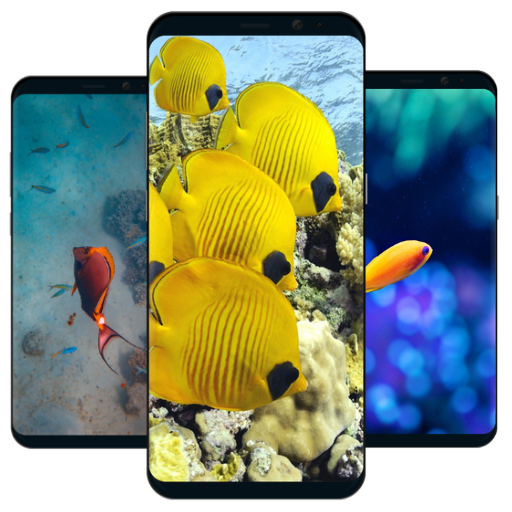 Fishing wallpaper ocean HD Mobile 4k fish screen icon