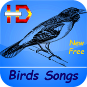 Birds Songs and Sounds (HD Sounds) icon