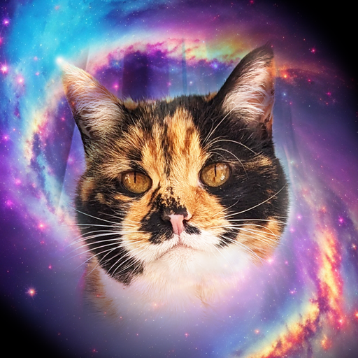 Nebula Tarot Cat icon