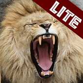 Animal Sounds - LITE icon