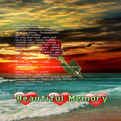 Beautiful Memory icon