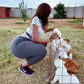 Hot Love Gossip icon