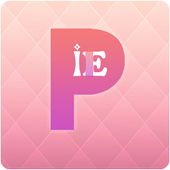 Pie Launcher 2020 icon